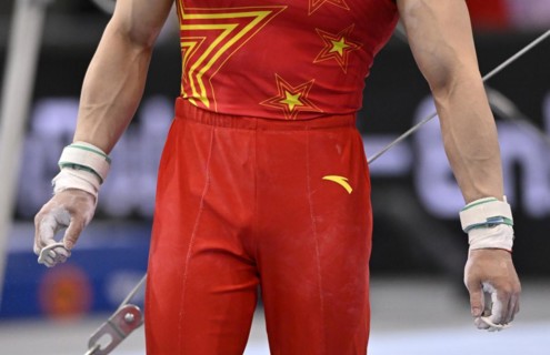 Gymnastics, artistic gymnastics, men, feature, detail, close-up, straps, wrist protection, jersey,
