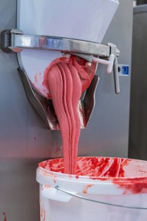 Pink-coloured ice cream mass flows viscously from a machine into a bucket, production of ice cream,