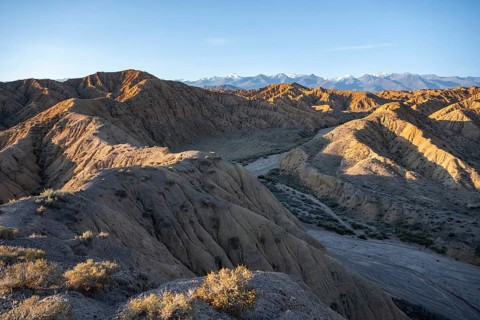 Landscape of eroded hills with canyon at sunrise, badlands, white mountain peaks of the Tian Shan