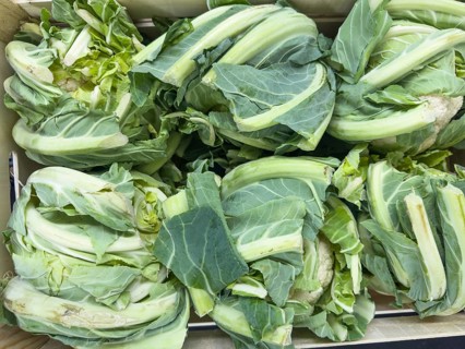 Healthy unprocessed raw vegetables Cauliflower (Brassica oleracea var. botrytis) unprocessed raw