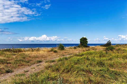 Coastal pasture on the Baltic Sea, Alvar, barren, treeless landscape with thin layer of vegetation