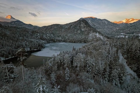 Pike lake, winter, icy, snow-covered trees, reddish-coloured sky, morning mood, Mangfallgebirge