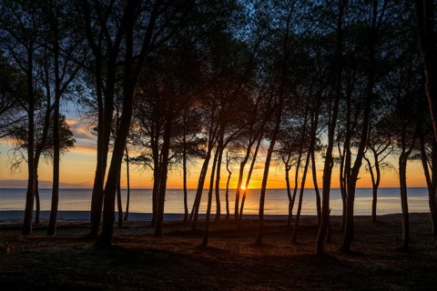 Lonely sandy beach and pine forest, Spiaggia di Isula Manna, sunrise, Santa Maria Navarrese, Gulf
