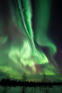 Northern Lights (Aurora borealis), Muddus National Park, Laponia World Heritage Site, Norrbotten,