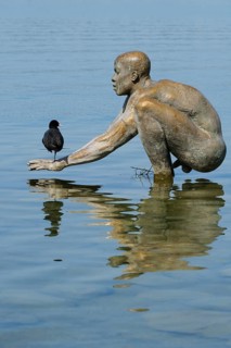 Sculpture El Ninio by Ubbo Enninga with reflection, common coot (Fulica atra) on hand, Radolfzell,