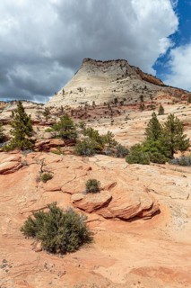 Patterns of erosion on the rock formations in Zion National Park, Utah
