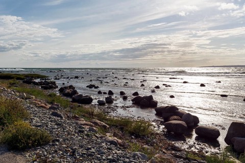 Coastline, pebble beach near Djupvik, picturesque west coast, ecstakusten, island of Gotland,