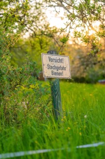 Warning sign for bees in a meadow with trees and sunset in the background, Gechingen, Black Forest,