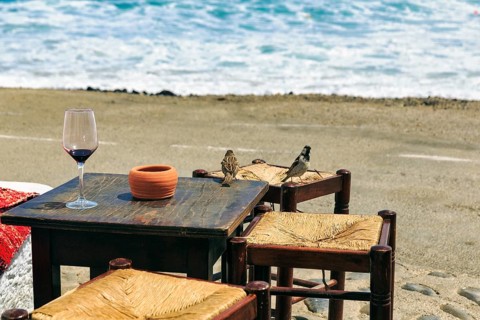 Empty wine glass on simple wooden table outdoors, sparrows sitting on stools, bar, beach bar, Cabo