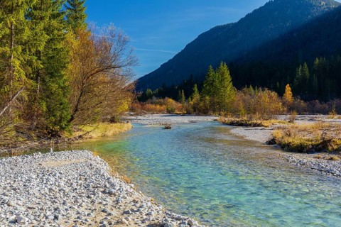 Isar valley nature conservancy area. The wild Isar river flows through its gravel bed past