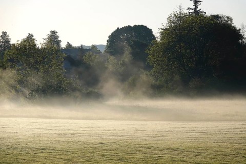 Landscape in May with morning fog, Germany