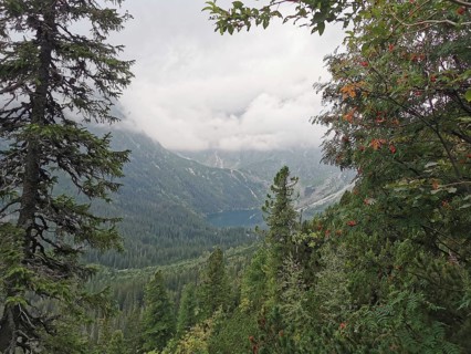 Morskie Oko mountain lake surrounded by thick forest and fir trees under cloud cover, Zakopane,