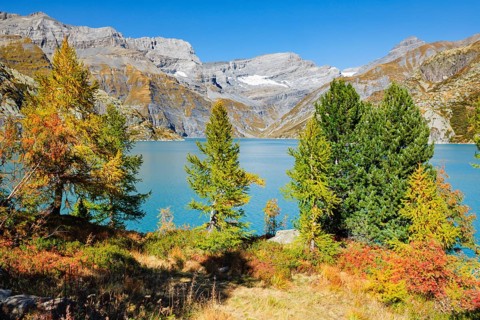 Mountain pines and larches line the banks of the MLac d'Emosson in the Valais mountains,