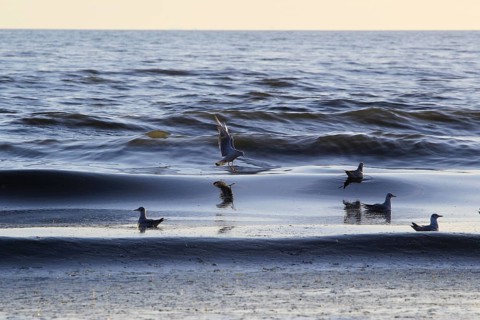 Morning atmosphere on the beach of the Baltic Sea, September, Usedom, Mecklenburg-Western