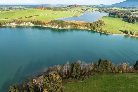 Aerial view of lake Forggensee, near Dietringen, Ammergauer Alpen, Allgaeu, Bavaria, Germany