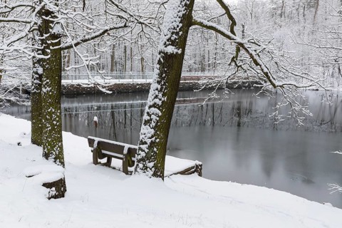 Winter magic at Spitzgrundteich pond with dam wall and bench, Friedewald, Coswig, Saxony, Germany