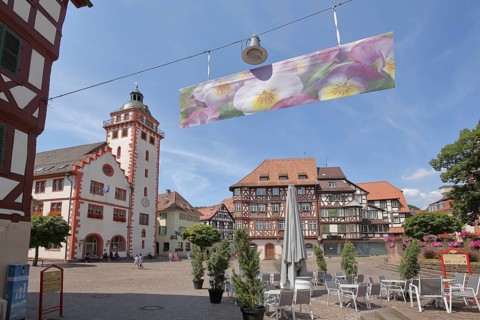 Town Hall built in 1557 and half-timbered Palmsches Haus, Marktplatz, Mosbach, Baden-Württemberg,