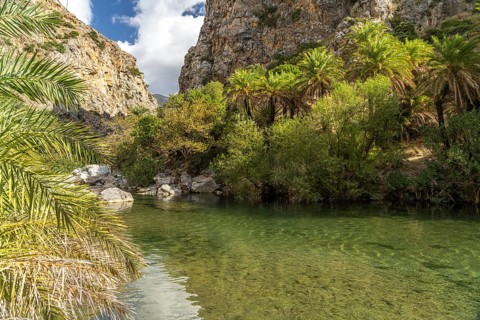 Phoenix theophrasti palms and the river Megalopotamos in the gorge of Preveli, Crete, Greece