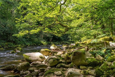 Landscape by the river Murg, Murg Valley, Black Forest, Baden-Württemberg, Germany