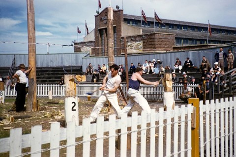 Wood chopping competition, Royal Melbourne Show, Ascot Vale, Melbourne, Victoria, Australia 1956
