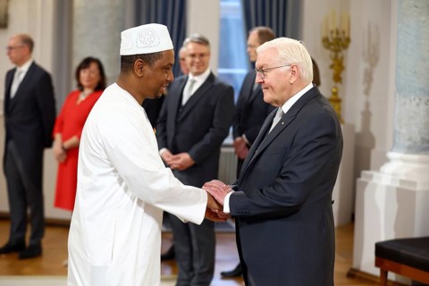 Aliou Barry Guinea is received by Frank-Walter Steinmeier (President of the Federal Republic of