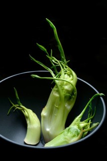 Puntarelle in Schale, asparagus chicory from Italy