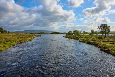 Extensive river under a cloudy sky, with green bank and trees, Rannoch Moor, Bridge of Orchy,