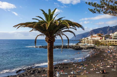 Palm trees with Las Arenas beach in Puerto de Santiago, Atlantic, Tenerife, Canary Islands, Spain
