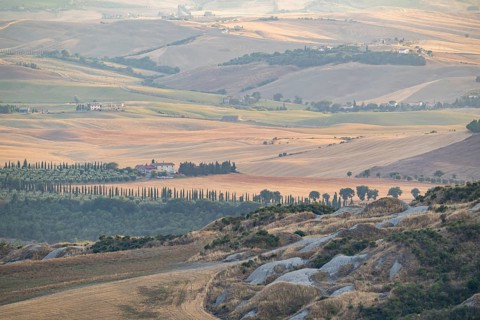 Typical Tuscan landscape in Val d'Orcia with hills, trees, fields, cypresses in autumn at sunset,