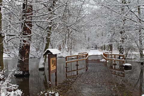 Winter floods, Middle Elbe Biosphere Reserve, Saxony-Anhalt, Germany