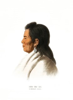 American Indian, Native American, Sha-Ha-Ka, Chief of the Mandan tribe, United States of America,