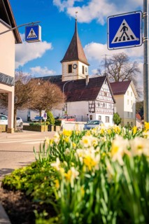Half-timbered church in spring with yellow daffodils in the foreground and road signs on the edge,