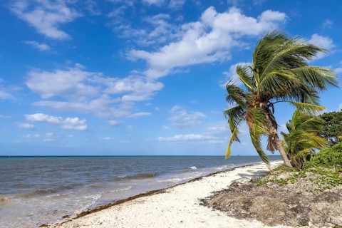 Mexico, beaches, playas, and hotels of Cozumel island, tourism and vacation destination