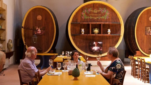 Three people enjoying wine and conversation at a table in the wine cellar, Donna Fugata, Sicilian