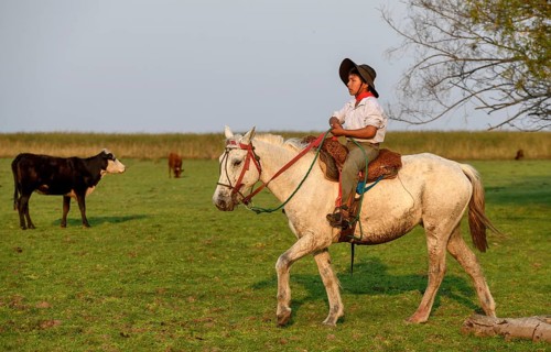 Young Gaucho on his horse at Puesto Mingo, Esteros del Iberá, near Concepción del Yaguareté Corá,