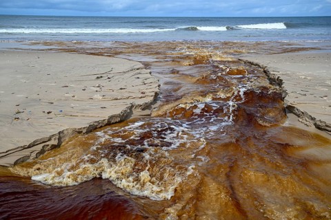 Tannic water from the Congo Basin flows into the sea, Petit Loango, Loango National Park, Parc