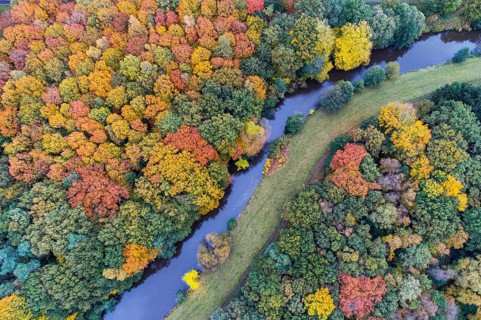Hunte in autumn Barneführer wood, forest, autumn colors, Westerburg, Wardenburg, Lower Saxony,