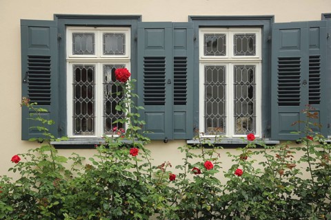 House façade with two grey windows, window shutters, rose bush with red roses, former Gasthaus
