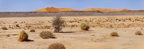 Vast desert landscape with flat sandy ground and scattered bushes in front of large dunes, The sand