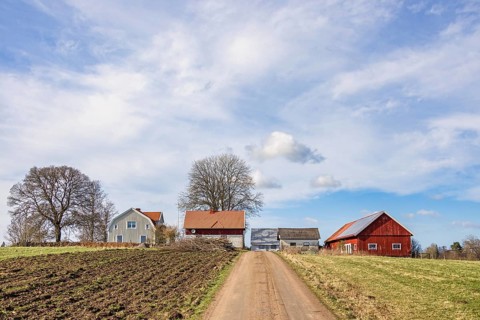 Gravel road by fields to a farm with red barns in the Swedish countryside a sunny spring day,
