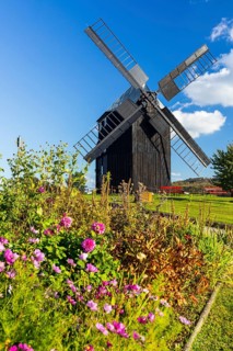 Trestle windmill in Kottmarsdorf, Kottmar, Oberlausitzer Bergland, Saxony, Germany
