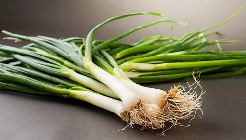 Vegetable, spring onion or spring onion, also known as winter onion, Allium fistulosum