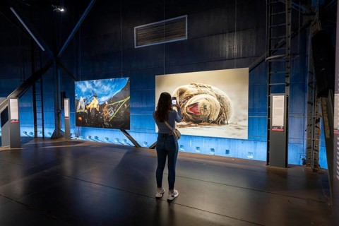 Plante Ozean exhibition in the Gasometer in Oberhausen, the world's oceans in their fragile beauty