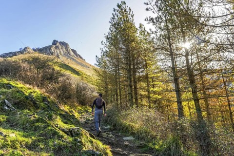 Lone hiker ascending rocky mountain path through pine forest on mount txindoki, gipuzkoa. Dramatic