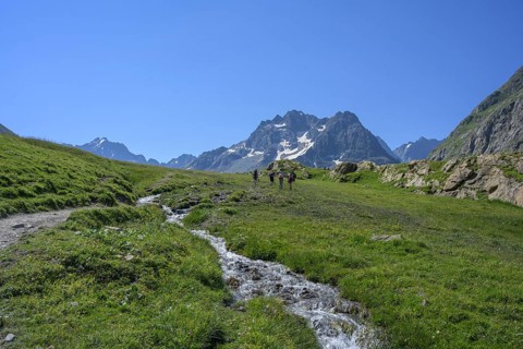 Stream in meadow behind glacier of the Agnieux group, Villar-d'Arêne, Département Hautes-Alpes,