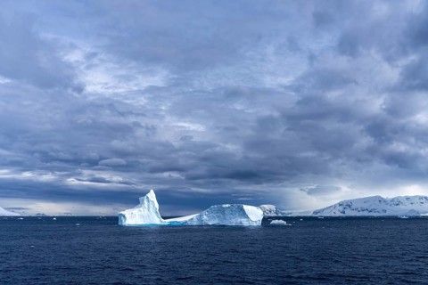 Icebergs float in the open Southern Ocean, snow-covered mountain slopes in the background under