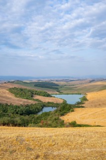 Lake in a typical Tuscan landscape in Crete Senesi with hills, trees and fields in summer, Asciano,