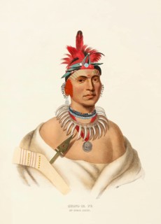 Chono Ca Pe. An Ottoe Chief (ca. 1837-1844), Native American, Historical Native American tribes