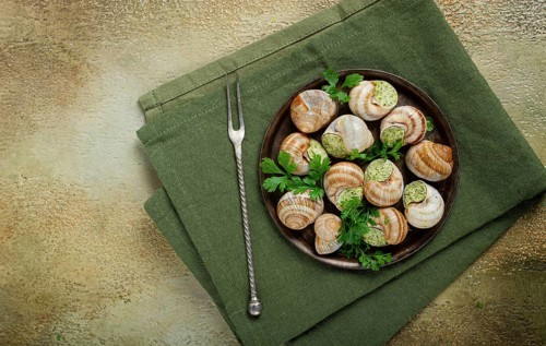 Grape snails stuffed in Burgundy, with butter and herbs, French cuisine, no people