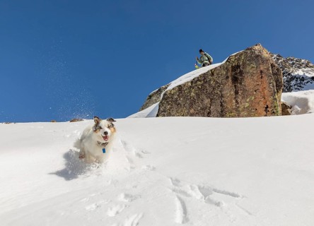 A snowboarder descending a snowy mountain slope with a playful dog running joyfully through the